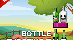 Bottle Shooting Game